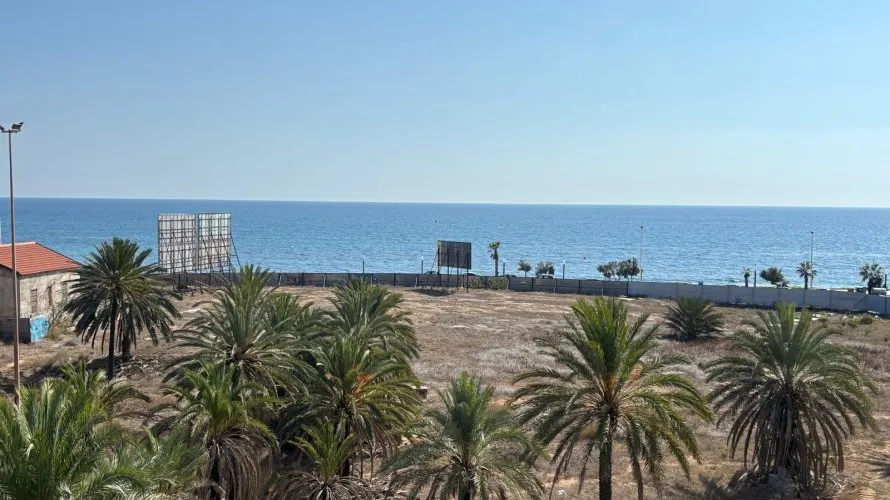1 bedroom apartment for sale, Torrevieja, Spain No. 233 № 8