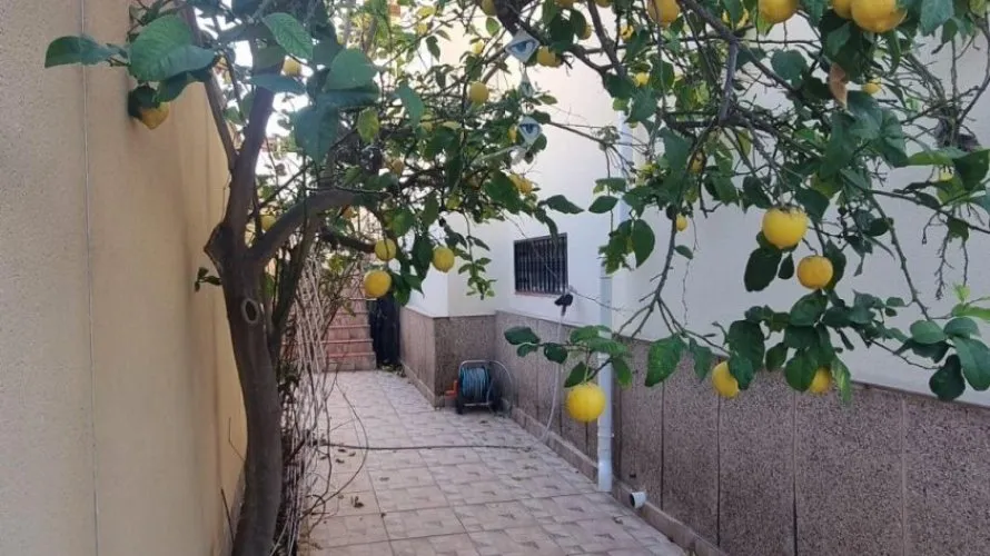 4 bedrooms villa for sale, Los Balcones, Spain No. 959 № 3