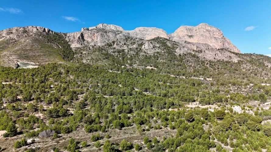 3 bedrooms apartment for sale, La Alberca, Spain No. 897 № 6