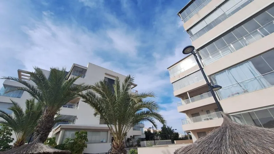 1 bedroom apartment for sale, Los Dolses, Spain No. 1005 № 11
