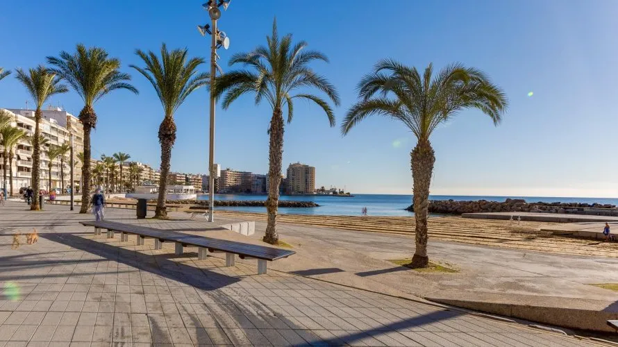 24m² apartment for sale, Torrevieja, Spain No. 3147 № 1